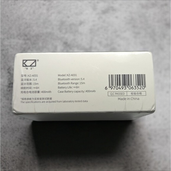 KZ AE01 Wireless Ear Hook Bluetooth 5.4 Earphones with Charging Case